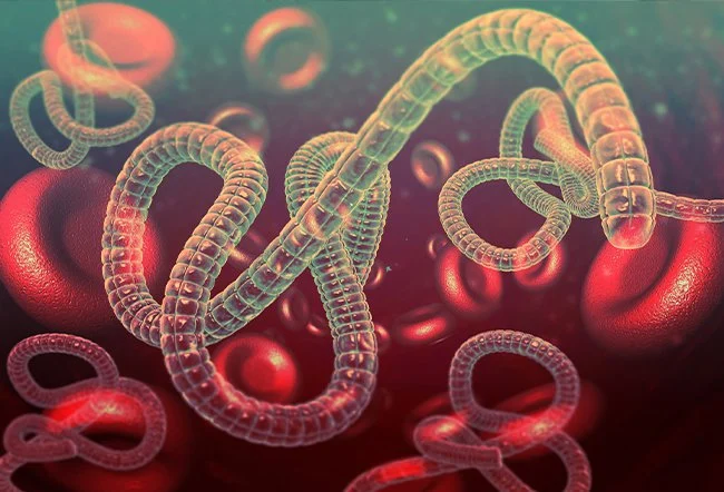 BREAKING: DR MADEJ FINDS LIVING “TENTACLE” ORGANISM IN VACCINE VIALS - Fringe News