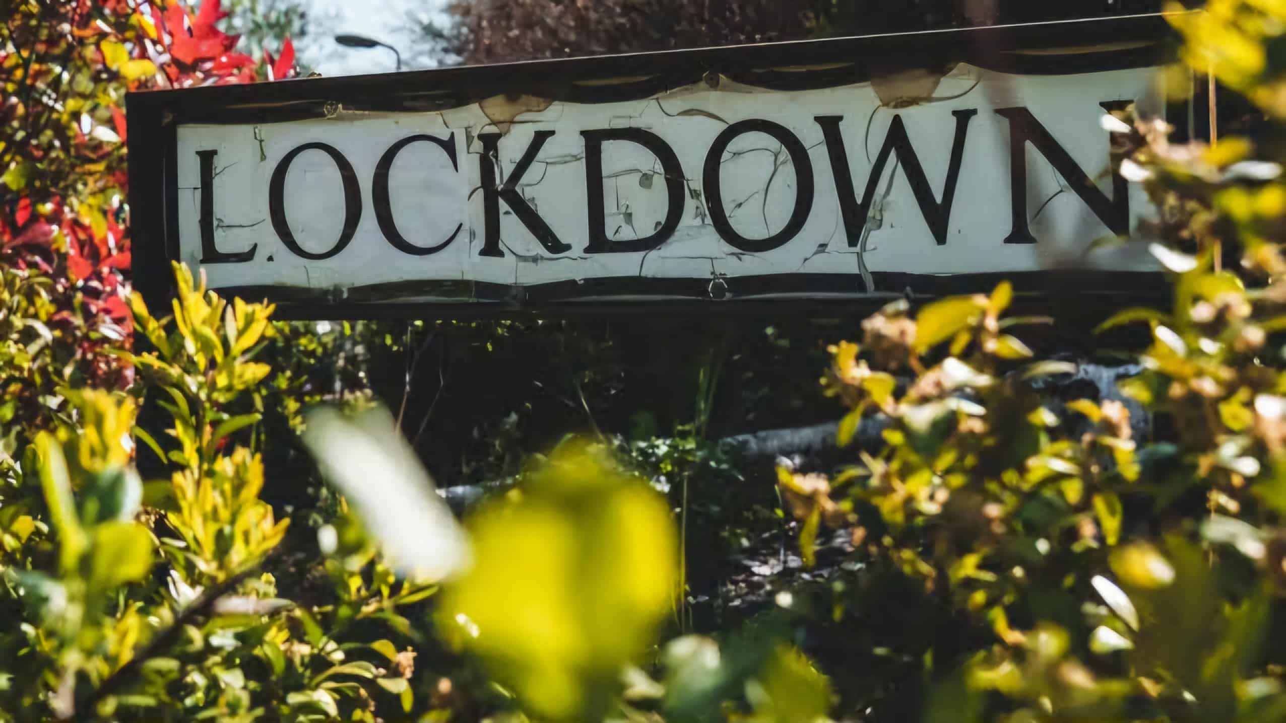 I'm Preparing for a Major Lockdown | WHO Declares Mpox Global Health Emergency - Fringe News