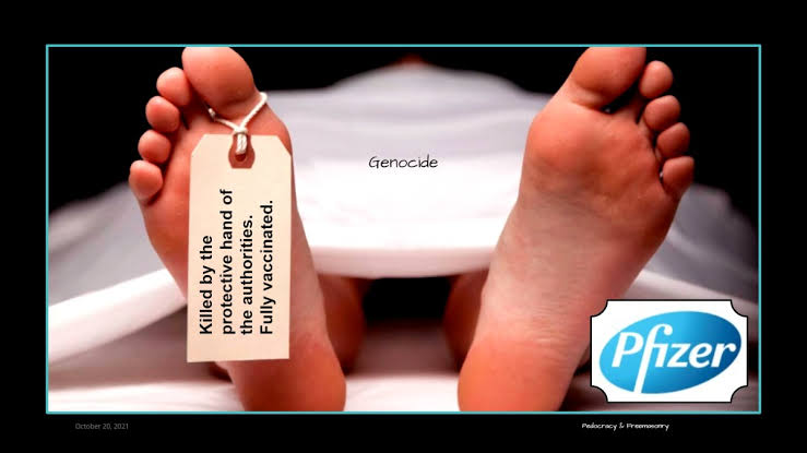 JUDGE ORDERS PFIZER TO TURN OVER VACCINE INGREDIENTS WITHIN 48 HOURS - Fringe News