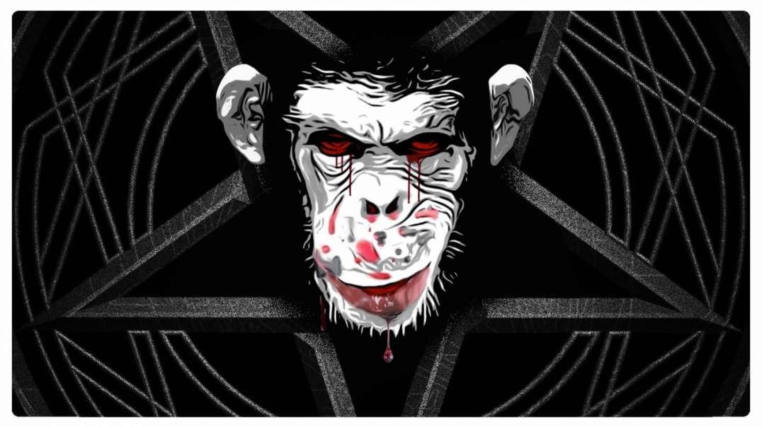 The New World Order Prepares Their Final Attack - Fringe News