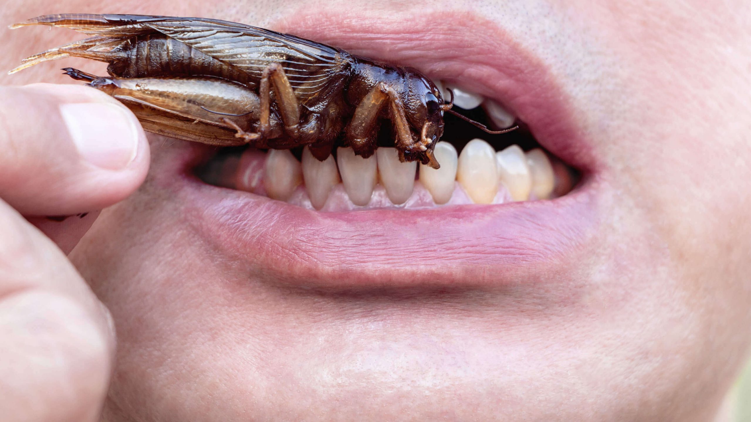 THEY’RE THROWING THE KITCHEN SINK NOW - Fringe News