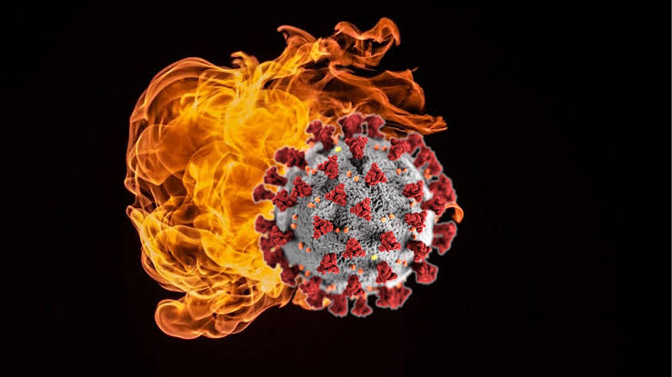 DR. ROGER HODKINSON: "WE’RE PLAYING WITH FIRE Here" - Fringe News